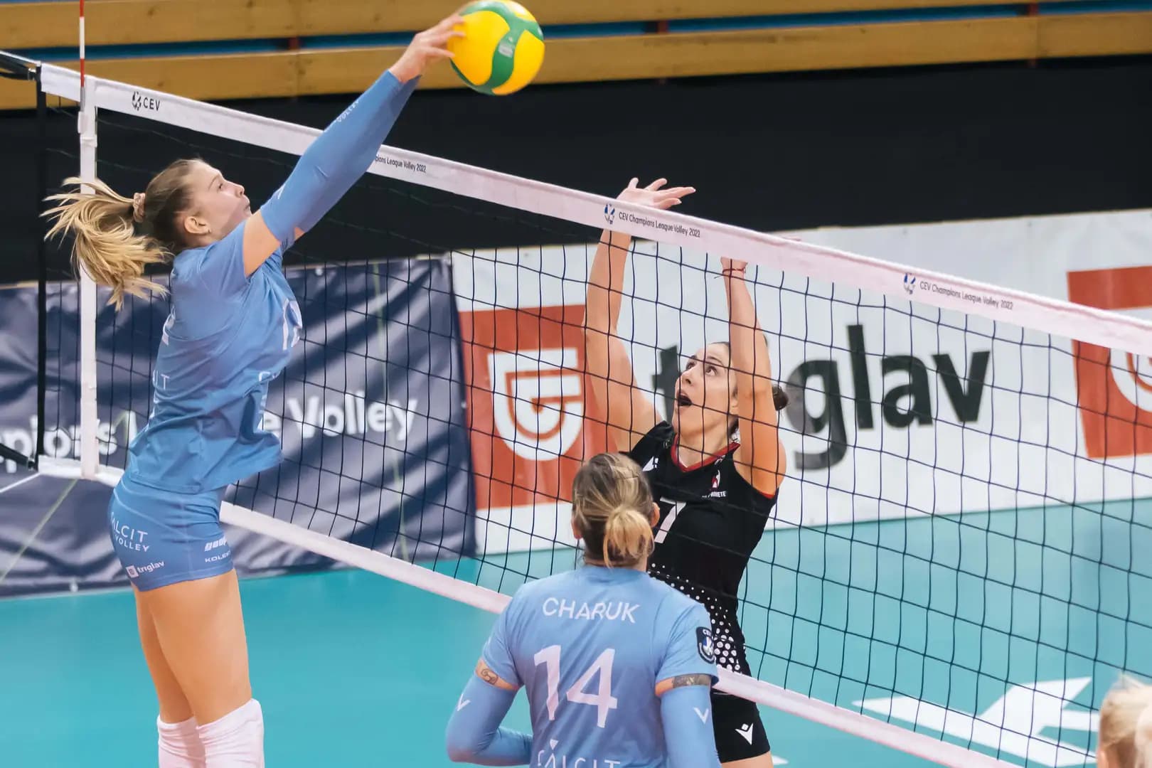 Dnipro stops Calcit Kamnik  in #CLVolleyW Round 2