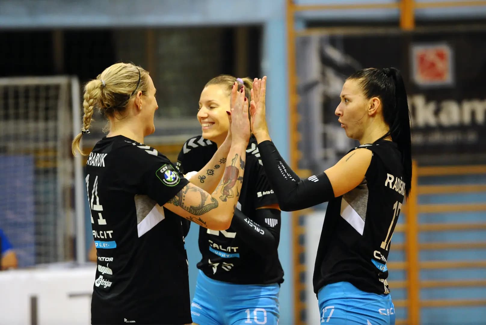 Calcit Volley KAMNIK will play against two of the top title contenders
