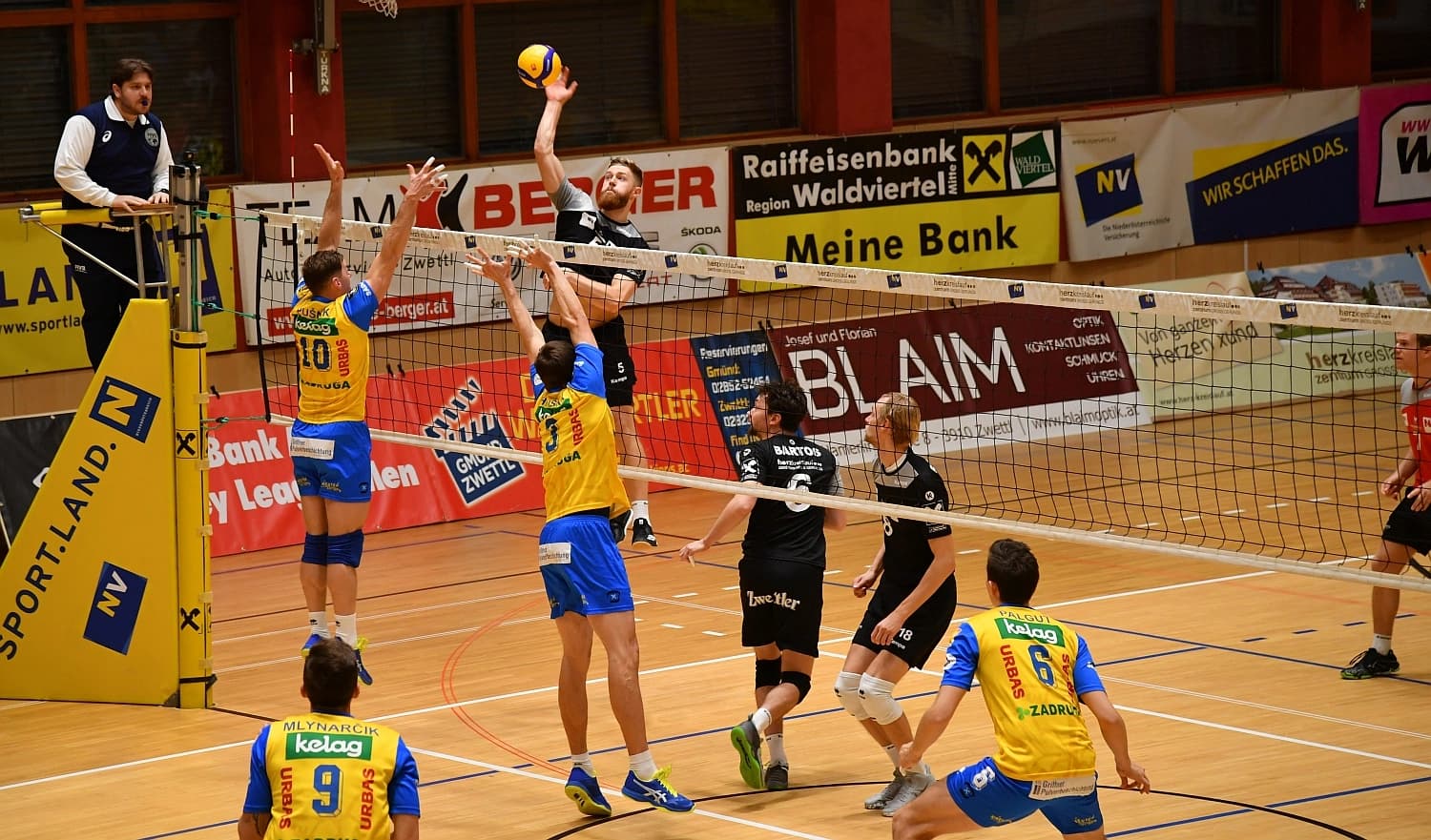 AICH/DOB back on track after dispatching Final Four hosts WALDVIERTEL