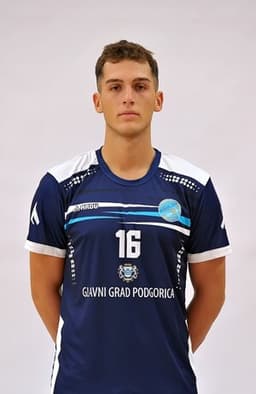 Srđan PETROVIĆ