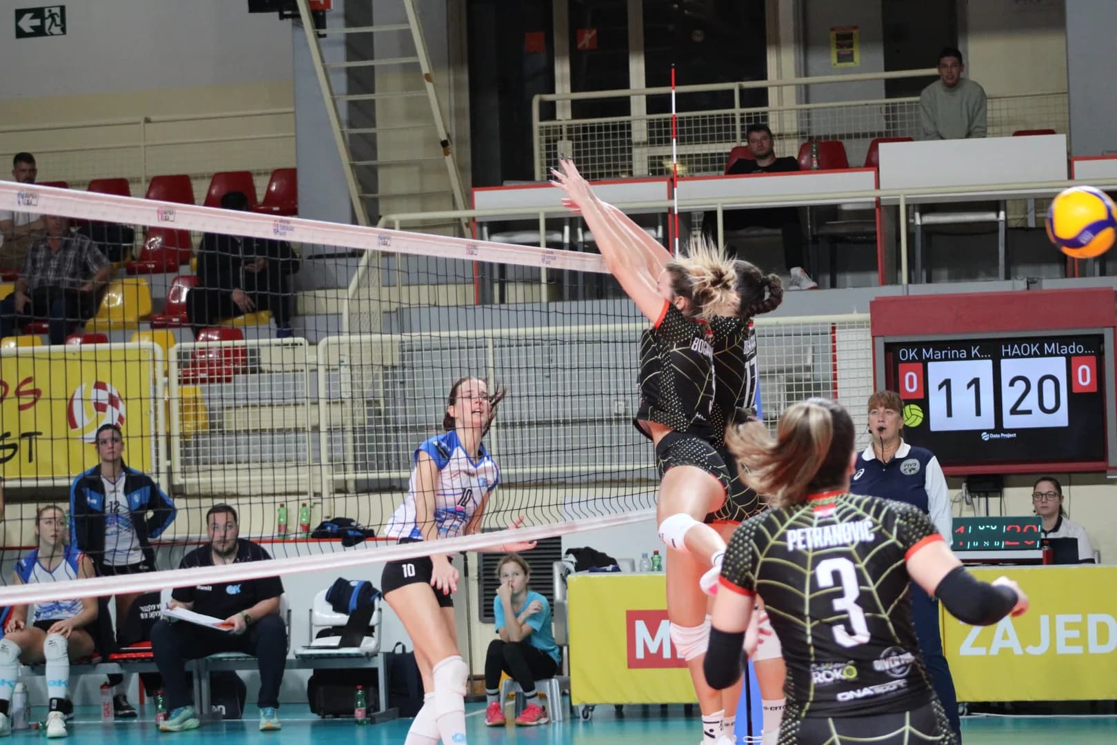 HAOK Mladost to Host 2025 MEVZA Final Four Tournament for Men and Women