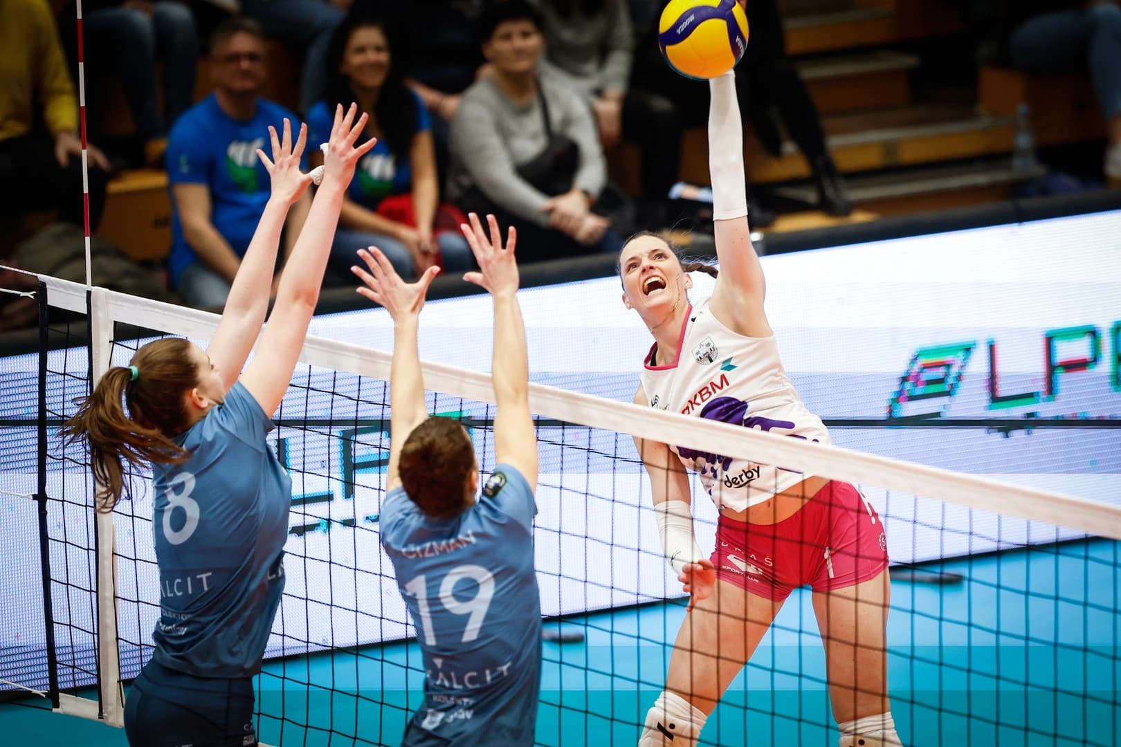 Nova KBM Branik and ACH Volley Ljubljana claim Slovenian cup titles