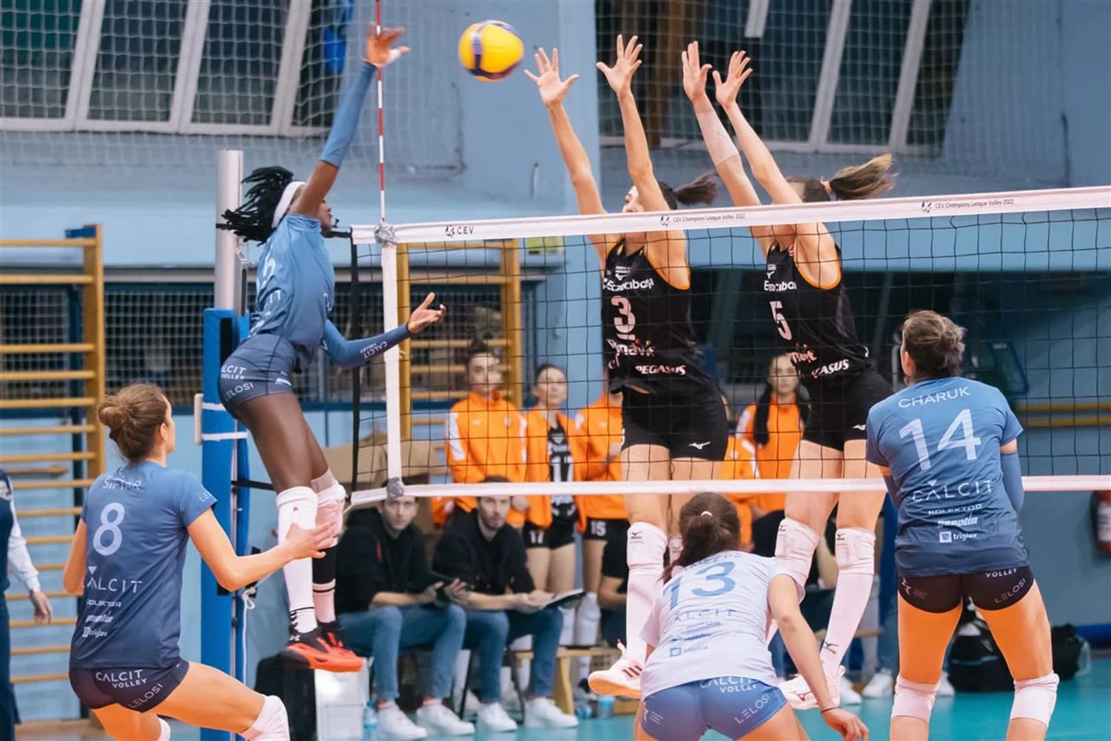 Calcit KAMNIK make valiant effort against star-studded Eczacibasi